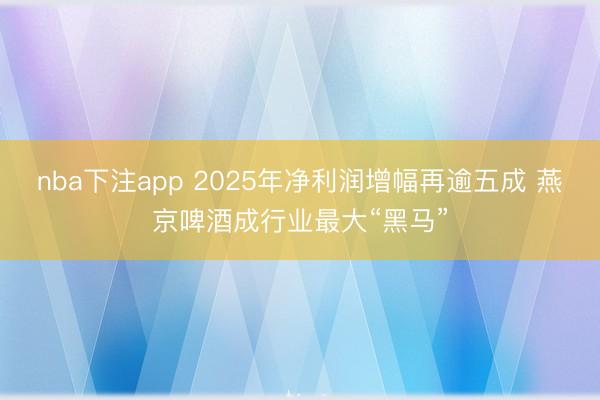 nba下注app 2025年净利润增幅再逾五成 燕京啤酒成行业最大“黑马”