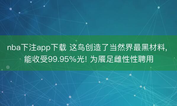 nba下注app下载 这鸟创造了当然界最黑材料, 能收受99.95%光! 为餍足雌性性聘用