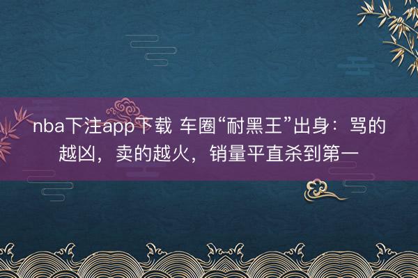 nba下注app下载 车圈“耐黑王”出身:骂的越凶,卖的越火,销量平直杀到第一