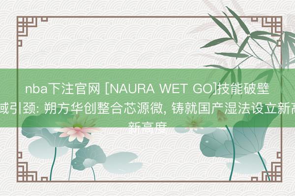 nba下注官网 [NAURA WET GO]技能破壁 全域引颈: 朔方华创整合芯源微， 铸就国产湿法设立新高度