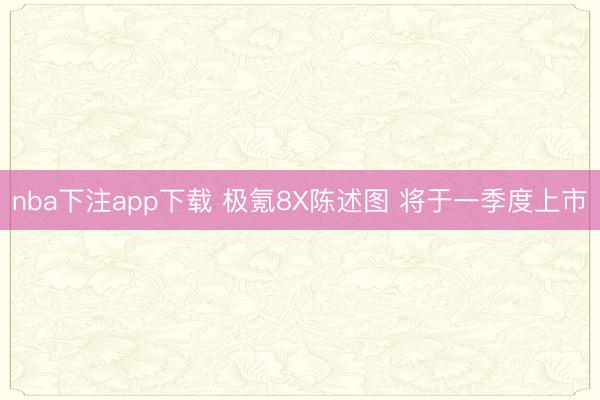 nba下注app下载 极氪8X陈述图 将于一季度上市