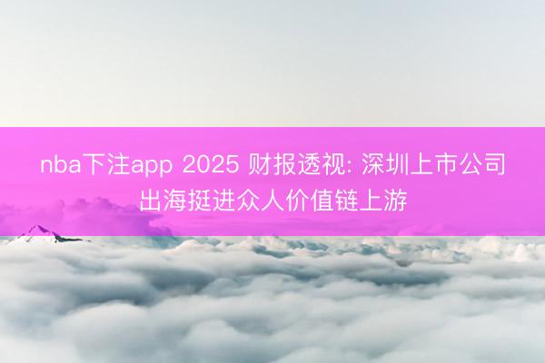 nba下注app 2025 财报透视: 深圳上市公司出海挺进众人价值链上游