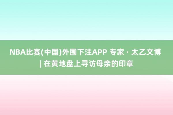 NBA比赛(中国)外围下注APP 专家 · 太乙文博 | 在黄地盘上寻访母亲的印章