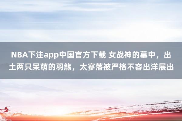 NBA下注app中国官方下载 女战神的墓中，出土两只呆萌的羽觞，太寥落被严格不容出洋展出