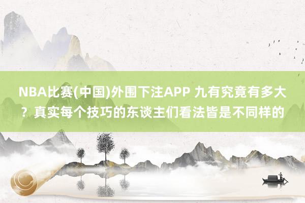 NBA比赛(中国)外围下注APP 九有究竟有多大?真实每个技巧的东谈主们看法皆是不同样的