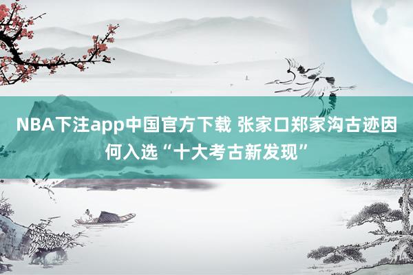 NBA下注app中国官方下载 张家口郑家沟古迹因何入选“十大考古新发现”