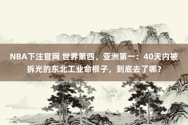 NBA下注官网 世界第四、亚洲第一：40天内被拆光的东北工业命根子，到底去了哪？