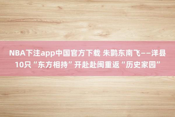 NBA下注app中国官方下载 朱鹮东南飞——洋县10只“东方相持”开赴赴闽重返“历史家园”