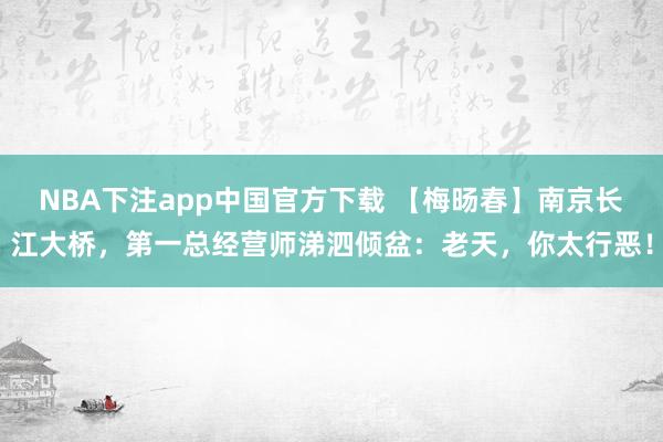 NBA下注app中国官方下载 【梅旸春】南京长江大桥，第一总经营师涕泗倾盆：老天，你太行恶！
