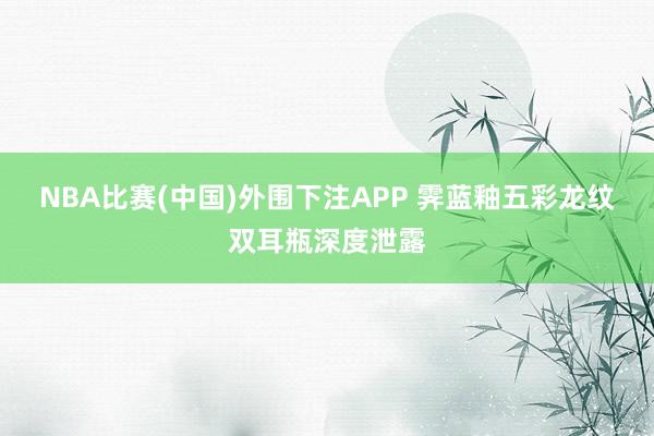 NBA比赛(中国)外围下注APP 霁蓝釉五彩龙纹双耳瓶深度泄露