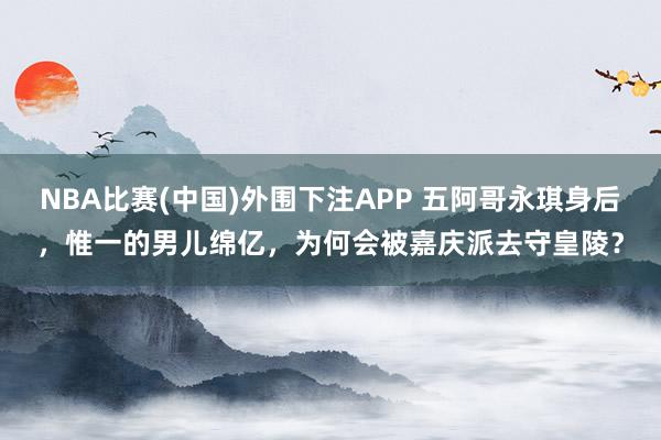 NBA比赛(中国)外围下注APP 五阿哥永琪身后，惟一的男儿绵亿，为何会被嘉庆派去守皇陵？