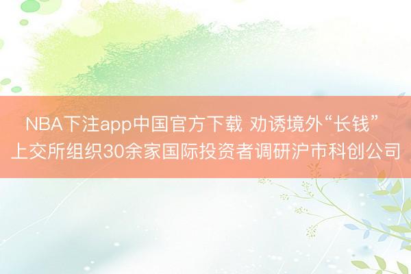 NBA下注app中国官方下载 劝诱境外“长钱” 上交所组织30余家国际投资者调研沪市科创公司