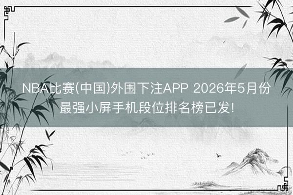NBA比赛(中国)外围下注APP 2026年5月份最强小屏手机段位排名榜已发!