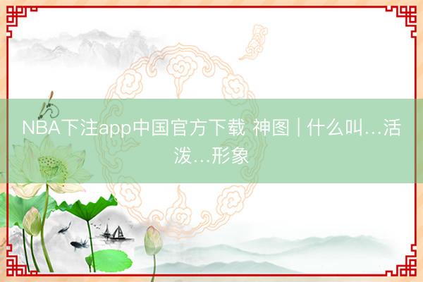 NBA下注app中国官方下载 神图 | 什么叫…活泼…形象