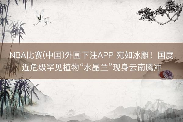 NBA比赛(中国)外围下注APP 宛如冰雕！国度近危级罕见植物“水晶兰”现身云南腾冲