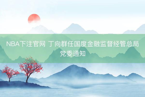NBA下注官网 丁向群任国度金融监督经管总局党委通知