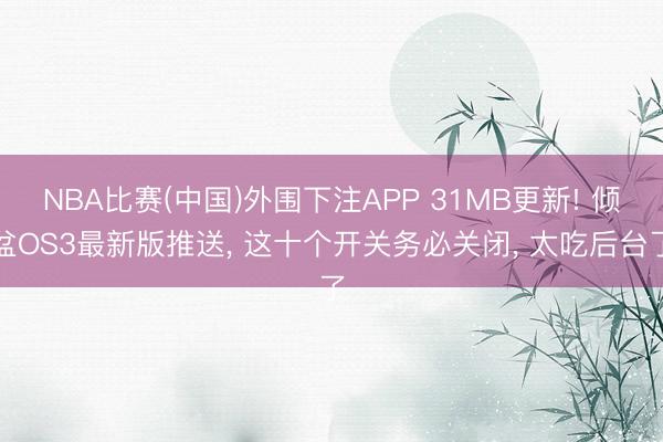 NBA比赛(中国)外围下注APP 31MB更新! 倾盆OS3最新版推送， 这十个开关务必关闭， 太吃后台了