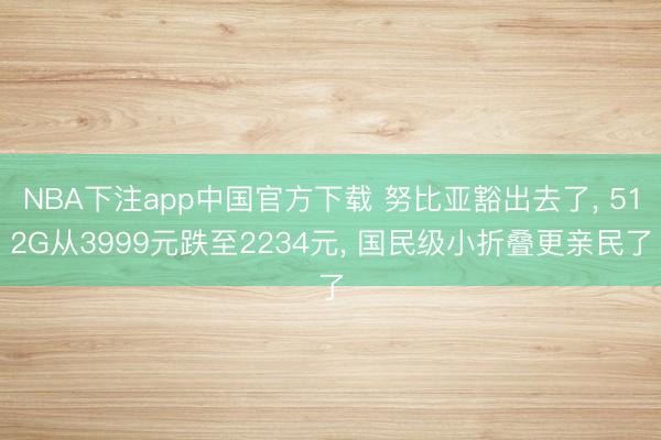 NBA下注app中国官方下载 努比亚豁出去了， 512G从3999元跌至2234元， 国民级小折叠更亲民了