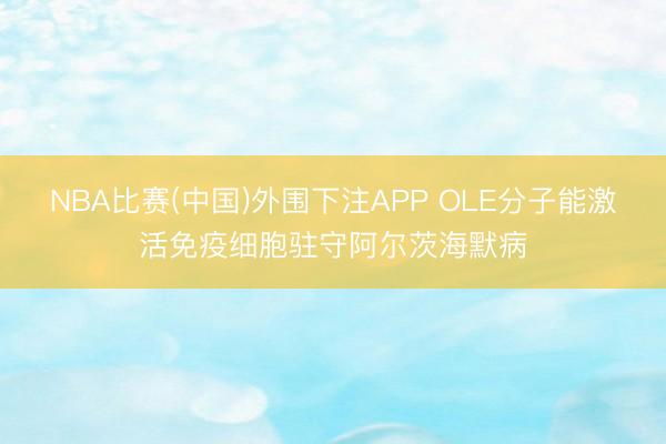 NBA比赛(中国)外围下注APP OLE分子能激活免疫细胞驻守阿尔茨海默病