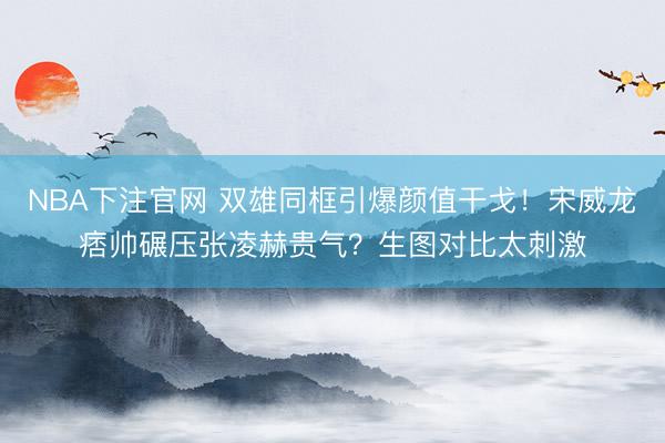 NBA下注官网 双雄同框引爆颜值干戈!宋威龙痞帅碾压张凌赫贵气?生图对比太刺激
