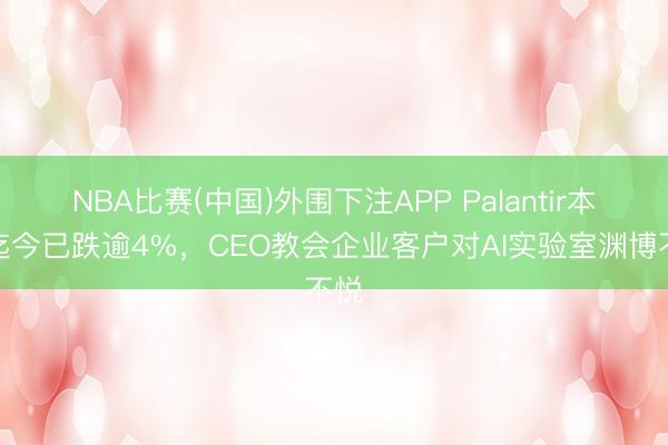 NBA比赛(中国)外围下注APP Palantir本周迄今已跌逾4%，CEO教会企业客户对AI实验室渊博不悦