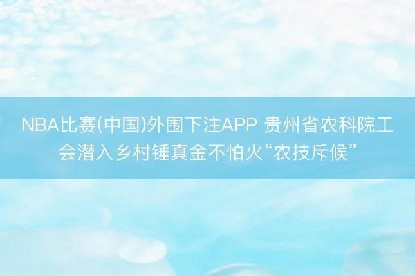 NBA比赛(中国)外围下注APP 贵州省农科院工会潜入乡村锤真金不怕火“农技斥候”