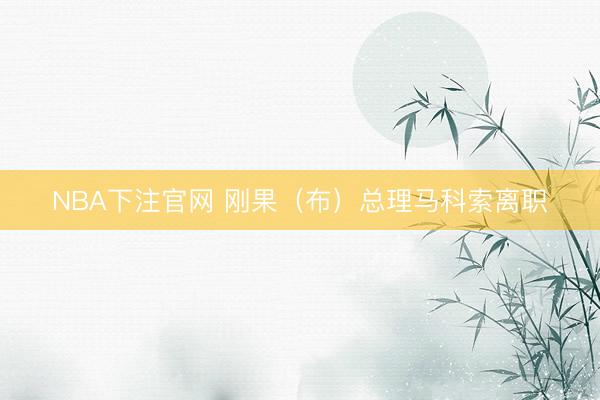 NBA下注官网 刚果（布）总理马科索离职
