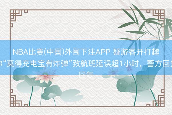 NBA比赛(中国)外围下注APP 疑游客开打趣称“莫得充电宝有炸弹”致航班延误超1小时,警方回复