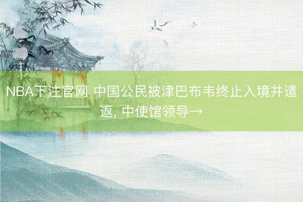 NBA下注官网 中国公民被津巴布韦终止入境并遣返, 中使馆领导→