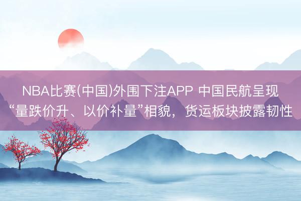 NBA比赛(中国)外围下注APP 中国民航呈现“量跌价升、以价补量”相貌,货运板块披露韧性